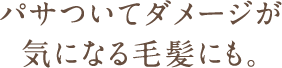 パサついてダメージが気になる毛髪にも。。