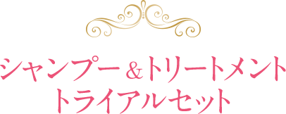 シャンプー&amp;トリートメント トライアルセット