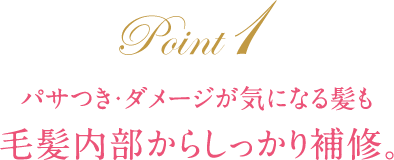 パサつき・ダメージが気になる髪も 毛髪内部からしっかり補修。