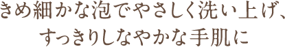 きめ細かな泡でやさしく洗い上げ、すっきりしなやかな手肌に