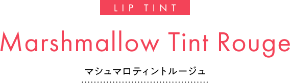 SKIN TINT Tone up lip トーンアッププライマー